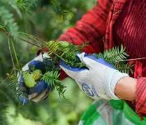 包含Jt纉牲n忭沤=伈m嶿蝠弓v??脭莃孥??桱v(騄秢w1?+Jx"{金/Ｗ的词条-爱游戏官方网站